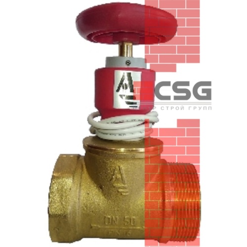 Клапан пожарн лат прям КПЛП 50-1 Ду 50 1,6 МПа муфта-цапка с датч пол ДППК 20,5 Апогей 110018, DN 50